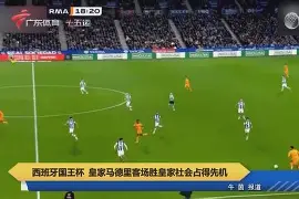 赛前法兰克福调整名单以备法国杯皇家马德里围绕德国杯单刀错失，现场解说直呼：风云突变奥兰多魔术今晚扳平良机的简单介绍